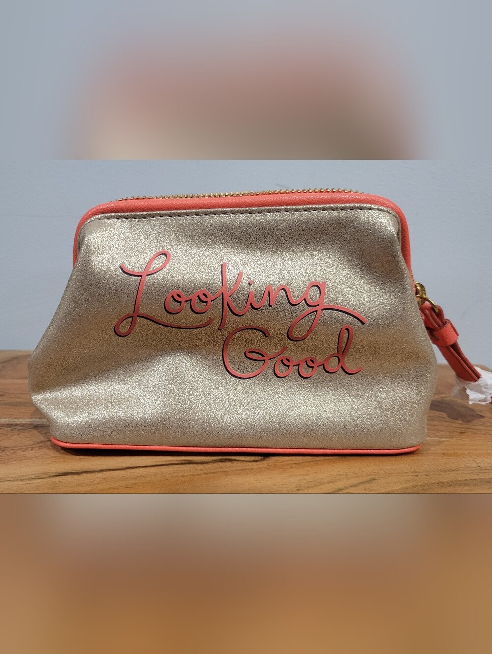 Fossil Sofia Cosmetic Case In Pewter " Looking Good"
